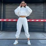 Yiallen Autumn High Quality New Warm Pullover Hoodies and Trousers Two Piece Set For Women Streetwear Simple Solid Slim