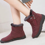 Snow Boots Women Winter Warm Plush Shoes Ladies Ankle Boots Non-slip Zip Flats For Female Botas De Mujer