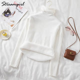Warm Velvet Sweaters For Women Turtleneck Winter New Casual Basic Knitted Thicken Pullovers Sweater Fleece Women