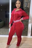 Casaul Turn down Collar Zipper Long sleeve Top and Pant