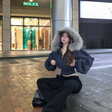 New Wool Collar Hoodie Jacket Zipper Spring And Autumn Short Design Top Short