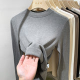 Pat Small Standing Collar Bottomed Blouse Women's Autumn And Winter Thread Foreign Style New Elastic Soft Waxy Pro-Skin Grinding Coat-Outfit