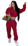 Casual Hoody Crop Top and Pants Matching 2PC