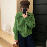 Waxy Twist Turtleneck Cardigan Women's Autumn And Winter New Korean Style Lazy Breeze Loose High Sense Knitted Coat-Outfit