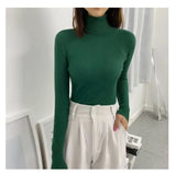 Turtleneck Sweater Autumn and Winter New Pullover Slim Bottoming Sweater Knitted Casual Long Sleeve Pull Femme