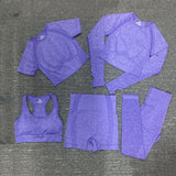 Seamless Women Sports Set Workout Sportswear Gym Clothing Fitness Long Sleeve Crop Top High Waist Leggings Sports