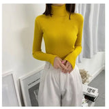 Women's Turtleneck Sweater Autumn and Winter New Pullover Slim Bottoming Sweater Knitted Casual Long Sleeve Pull Femme