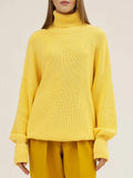 Turtleneck Oversized Sweater Women Blue Warm Loose Knitted Pullover Women Thick Turtleneck Jumper Sweaters Yellow