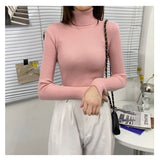 Turtleneck Sweater Autumn and Winter New Pullover Slim Bottoming Sweater Knitted Casual Long Sleeve Pull Femme