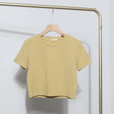 Solid Short-Sleeved T-Shirt Burst Small Short Sweet Spicy Slim Slim Thin Collar Top