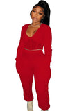 Casual Patch V-Neck Cropped Top and Pants 2 Piece