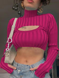 Casual Hollow out High neck Long Sleeve Crop