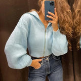 Solid Blue Designer Sweater Warm Winter Turn Down Collar Lantern Sleeve Oversize Casual Knitted Sweater 2022 Ladies Outwear