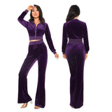 Women's Autumn 2023 New Women's Suit Leisure Fashion Velvet Cardigan Slim Two-Piece Set-Outfit