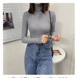 Women's Turtleneck Sweater Autumn and Winter New Pullover Slim Bottoming Sweater Knitted Casual Long Sleeve Pull Femme
