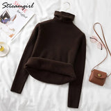 Warm Velvet Sweaters For Women Turtleneck Winter New Casual Basic Knitted Thicken Pullovers Sweater Fleece Women