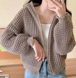 Korean Version Of High-Collar Warm Retro Coarse Needle Lapel Knitted Shirt Lazy Style Loose Style Zipper Sweater Jacket-Outfit