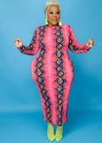 Plus Size Print High Neck Long Sleeve Long