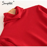 Leisure high collar basic sweater Slim cosy long sleeve pullover Home style fashion women's sweater Autumn winter