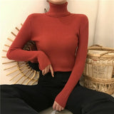 Solid Color Basic Versatile Turtleneck Sweater Thick Winter Long Sleeve Classic Knitted Bottoming Shirt Women Top