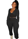 Casual Patch V-Neck Cropped Top and Pants 2 Piece