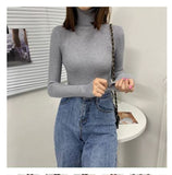 Turtleneck Sweater Autumn and Winter New Pullover Slim Bottoming Sweater Knitted Casual Long Sleeve Pull Femme