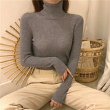 Solid Color Basic Versatile Turtleneck Sweater Thick Winter Long Sleeve Classic Knitted Bottoming Shirt Women Top