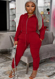 Plus Size Zipper Hoodies and Pants 2 Piece