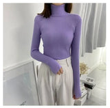 Women's Turtleneck Sweater Autumn and Winter New Pullover Slim Bottoming Sweater Knitted Casual Long Sleeve Pull Femme
