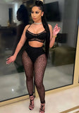 Black Sexy Dot Print Mesh Party Bra and Pants